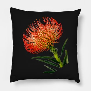 Bright Red Pincushion Protea Pillow