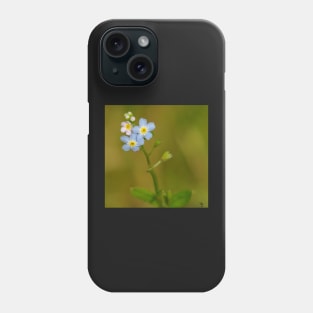 orget-me-nots or scorpion grasses Phone Case