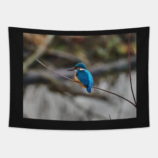 Kingfisher Tapestry