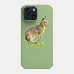 Mara or Patagonian Hare Phone Case