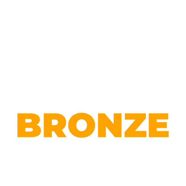 SKIN LIKE BRONZE by Pro Melanin Brand