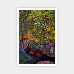 Canada. Canadian Rockies. Jasper NP. Maligne Canyon. Fall Colors. Magnet