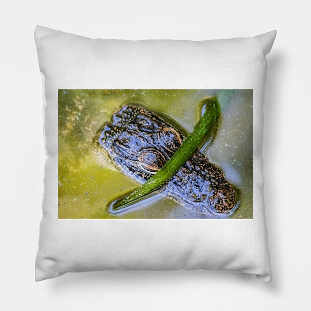 Wild Baby Alligator 3 Pillow by KensLensDesigns