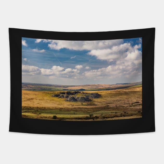 Gold Diggings Quarry, Minions, Bodmin Moor, Cornwall Tapestry by dasantillo