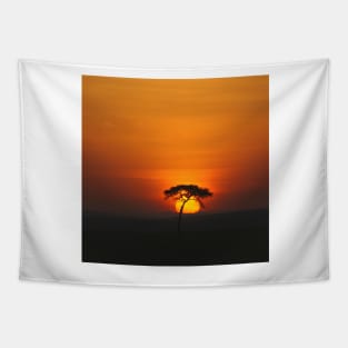 Desert Sunset Tapestry