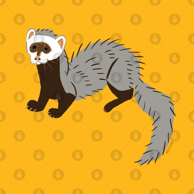 Grey Ferret by belettelepink