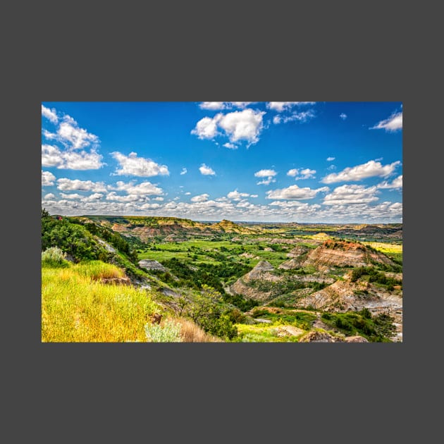 44121  Theodore Roosevelt National Park by Gestalt Imagery