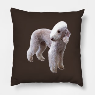 Bedlington Terrier Pillow