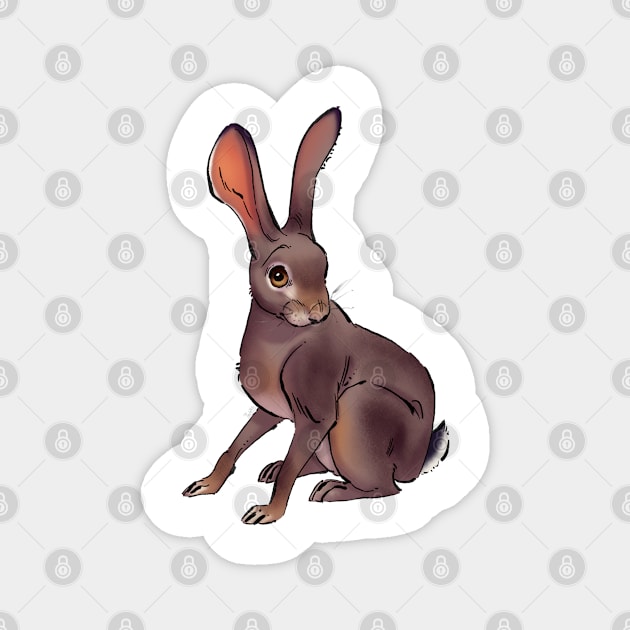 Scrub hare Magnet by PaulaBS