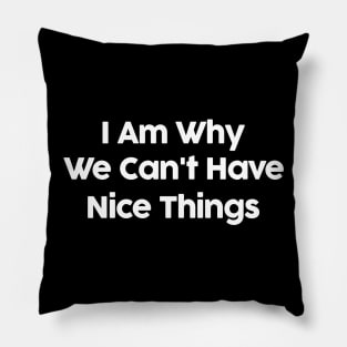 I Am Why We Can't Have Nice Things Funny Pillow