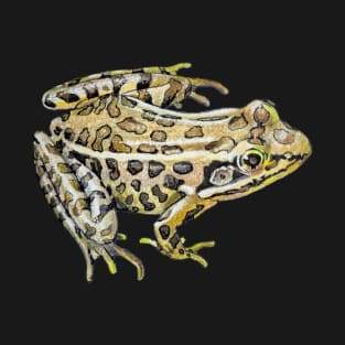 Leopard Frog Drawing (no background) T-Shirt