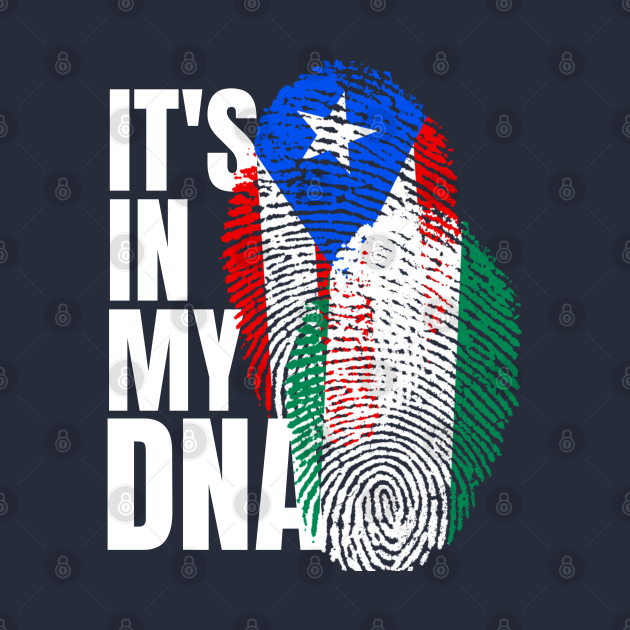 Puerto Rican And Nigerian Mix DNA Heritage Flag Gift