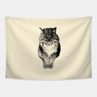 Bobcat Tapestry