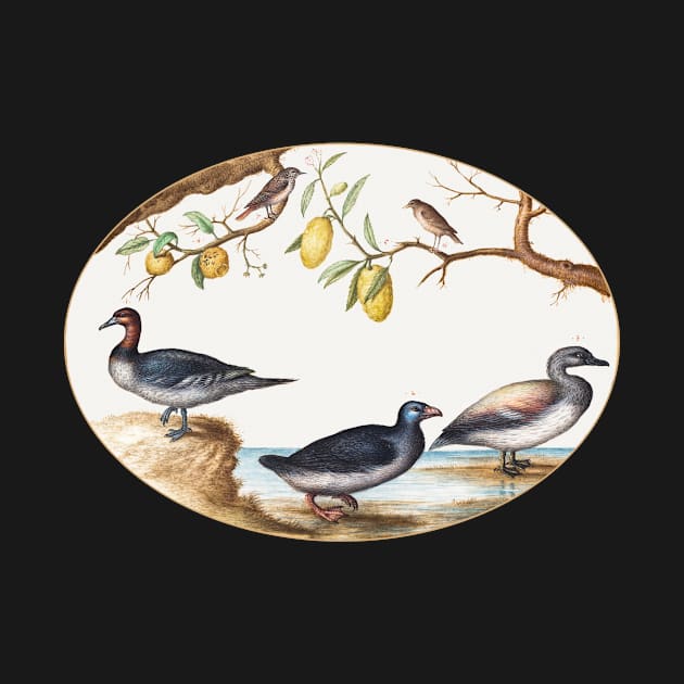 Three Waterfowl with Two Birds Perched in Citrus Trees (1575–1580) by WAITE-SMITH VINTAGE ART