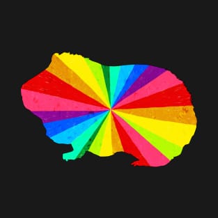 Rainbow Burst Guinea Pig T-Shirt
