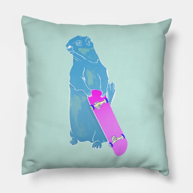 Marmot Skateboarding Pillow by mailboxdisco