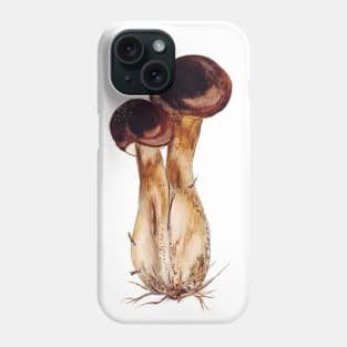 Boletus edulis Phone Case