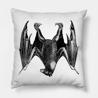 The Bat, man. Pillow