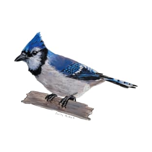Perched Blue Jay T-Shirt