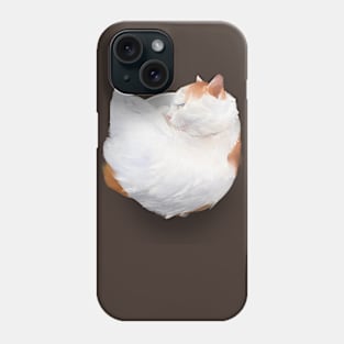 EAT EVERYTHING 4 Phone Case