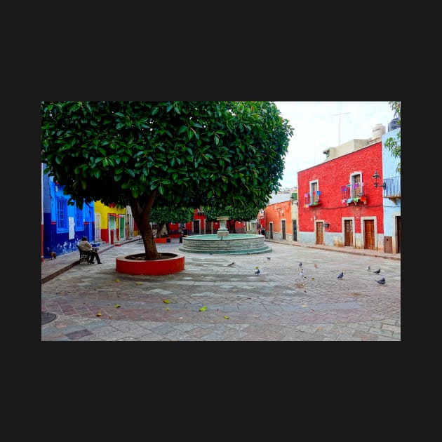 Jolie place à Guanajuato by franck380