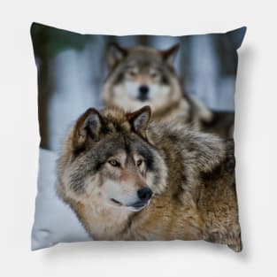 Timber Wolves Pillow