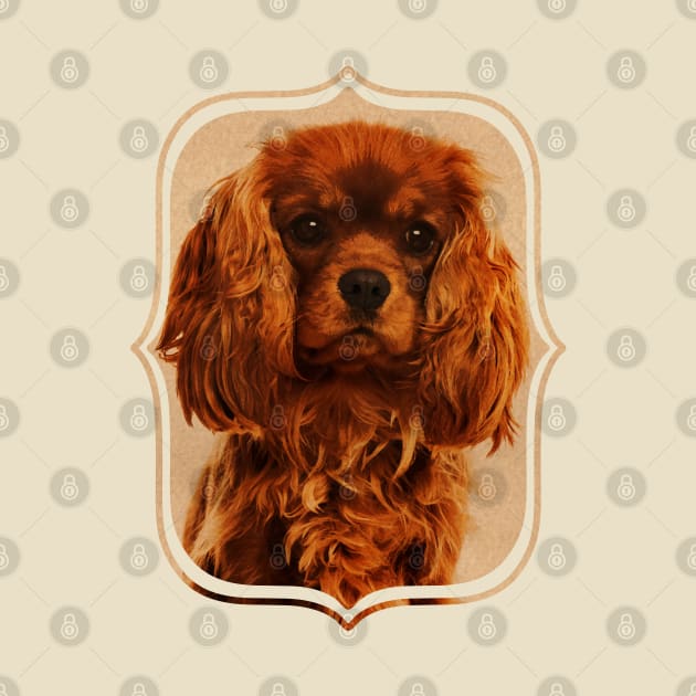 Cavalier King Charles Spaniel by Nartissima