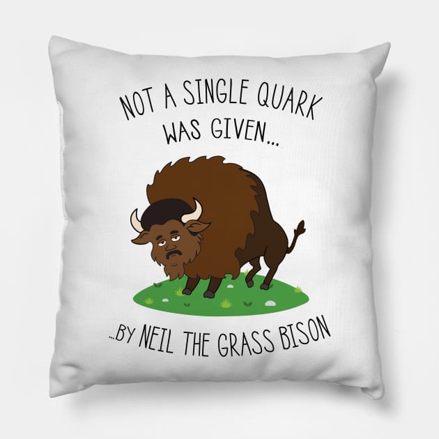 Neil deGrasse Tyson / Bison Pillow by IncognitoMode