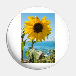 Sunflower field. Sunflower with blue sky and the sea in backgorund. Summer background, bright yellow sunflower over blue sky. Landscape with sunflower field over cloudy blue sky. Pin