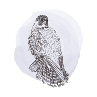 Hand drawn illustration of peregrine forest bird T-Shirt