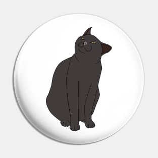 SMUG BLACK CAT MEME Pin