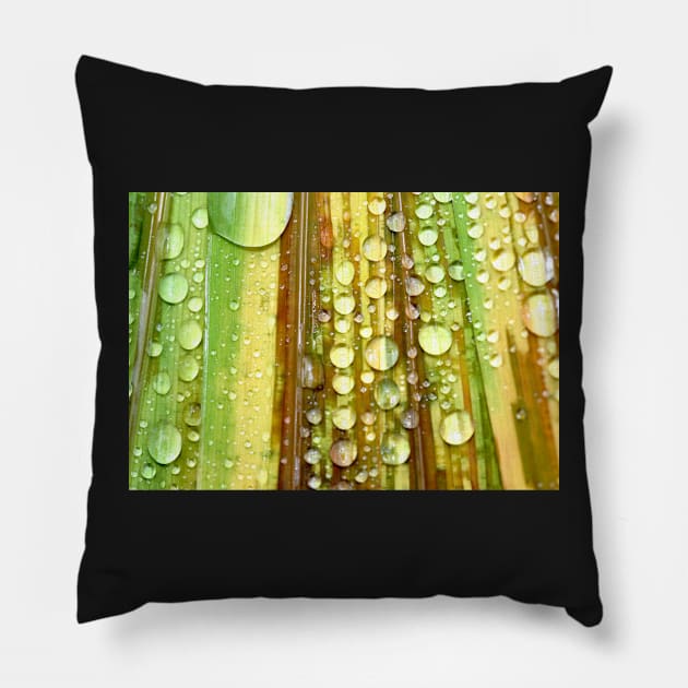 Shower Curtain Pillow by SharonJ