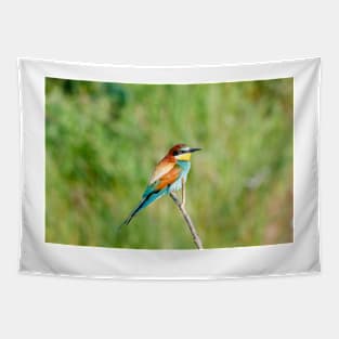 European bee-eater (Merops apiaster) Tapestry