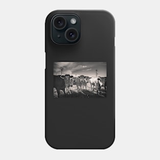 Carnsore Point Cows Phone Case