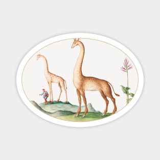 Two Giraffes with an Attendant (1575–1580) Magnet