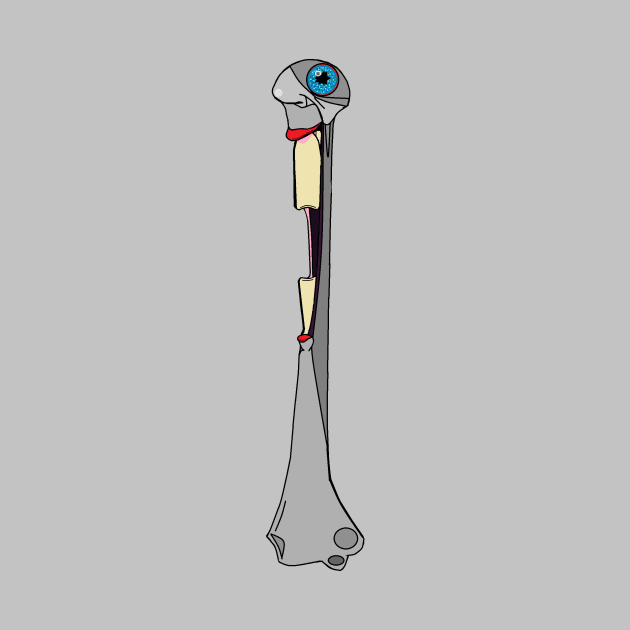 Humerus by Zenferren