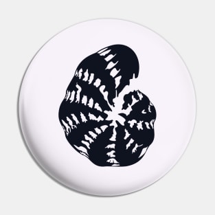 Foraminifera Pin