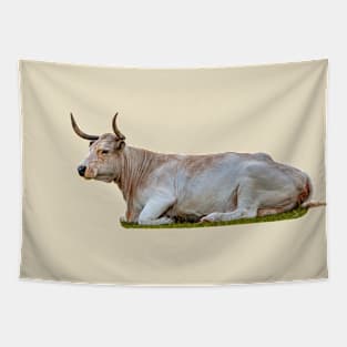 Resting White Park Cow Tapestry