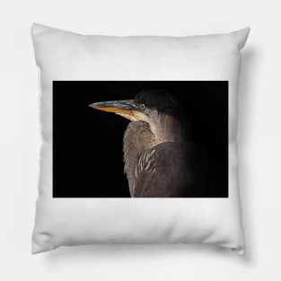 Blue on Black - Great Blue Heron Pillow