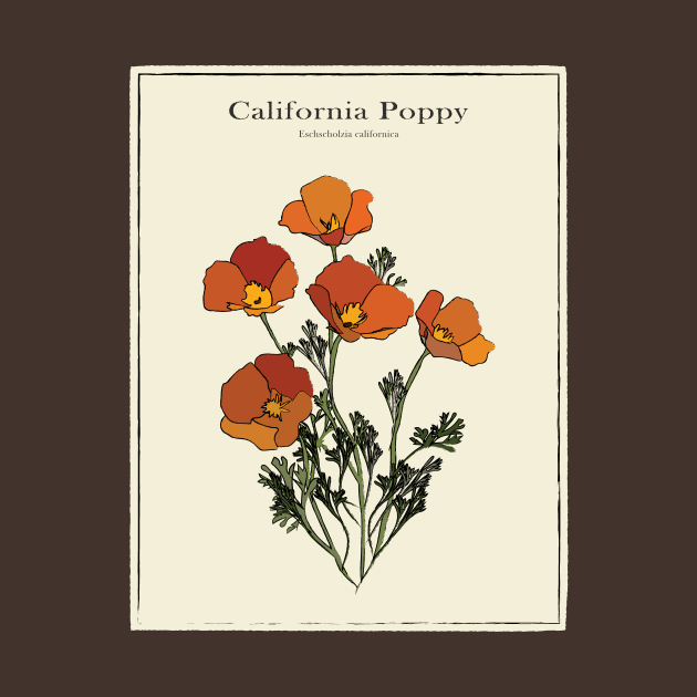 California Poppy Vintage Botanical Poster by Window House