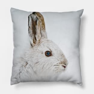 Snow Shoe Hare Pillow