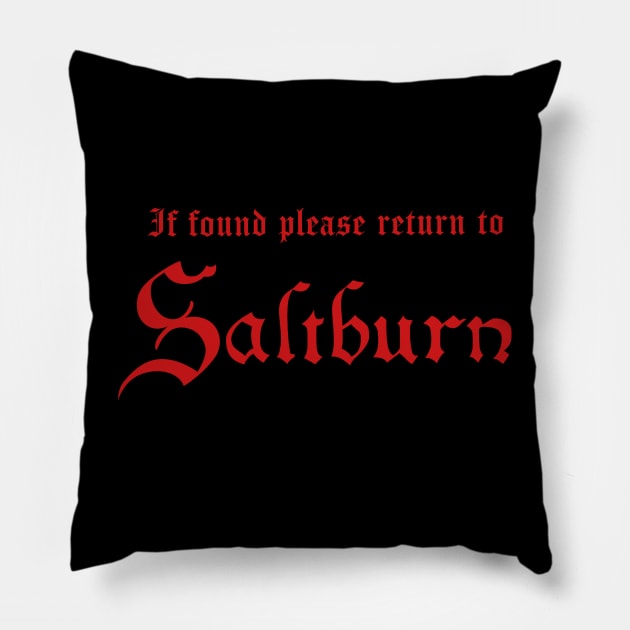 Please Return To Saltburn Pillow by PengellyArt