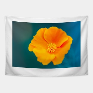 Close-up of a California poppy Tapestry