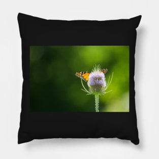 Winged Thistle Pillow