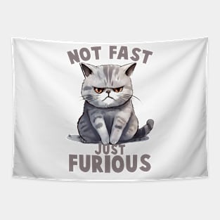 NOT FAST JUST FURIOUS CAT Funny Quote Hilarious Sayings Humor Tapestry