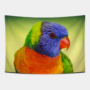 Rainbow Lorikeet Tapestry