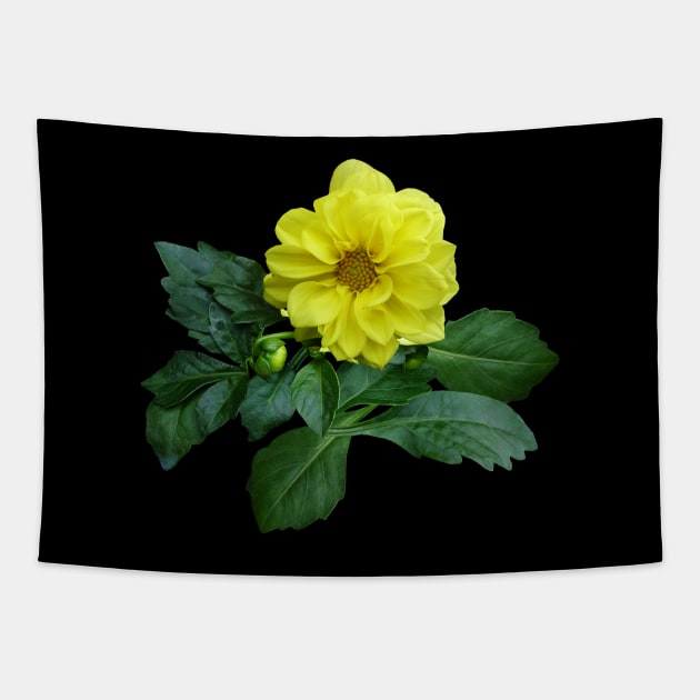 Little Yellow Dahlia Tapestry by SusanSavad