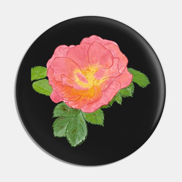 Pink Rose Botanical Drawing Pin by esslev