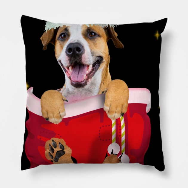 Pitbull In Pocket Christmas Gift Pillow by Terryeare