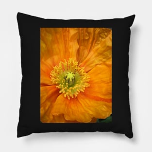 The Heart of a Poppy in Bloom Pillow